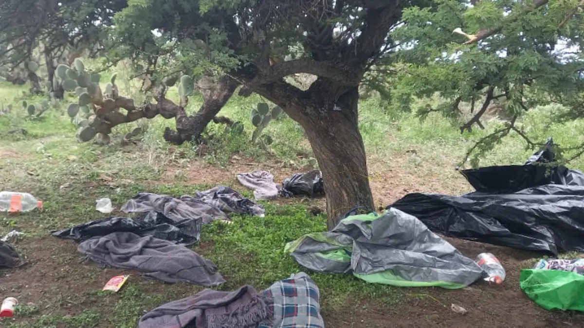 Destrucción de campamento delincuencial en Fresnillo, Zacatecas